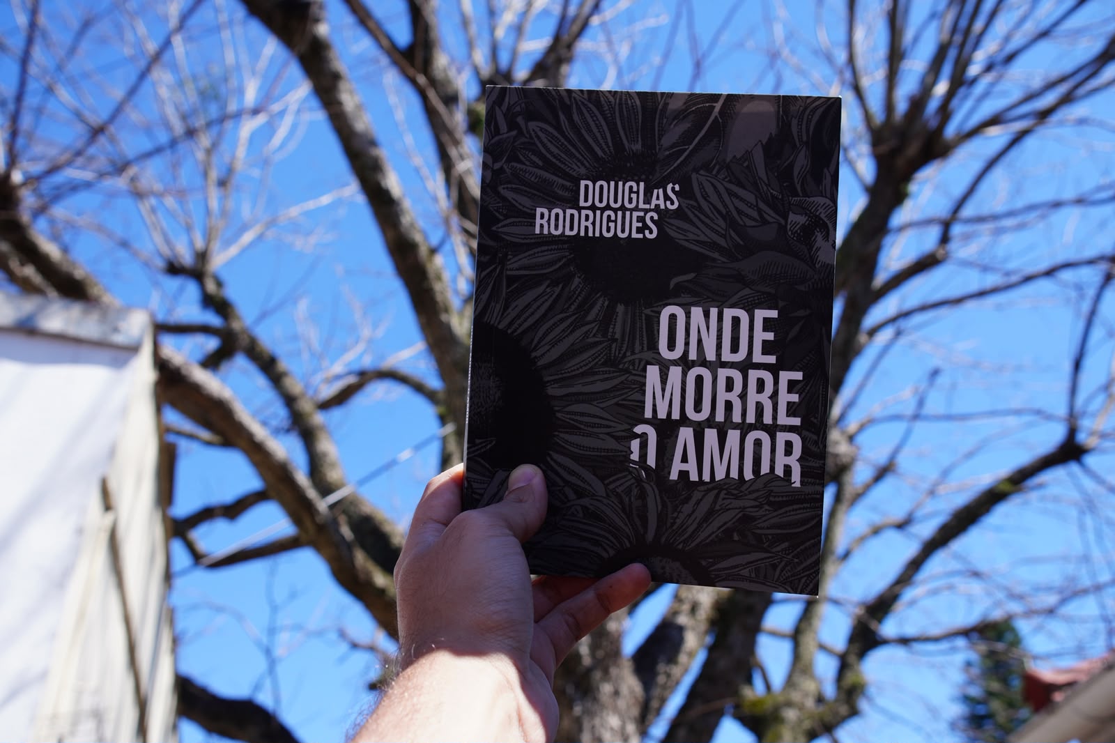 Imagem da galeria de Douglas Rodrigues